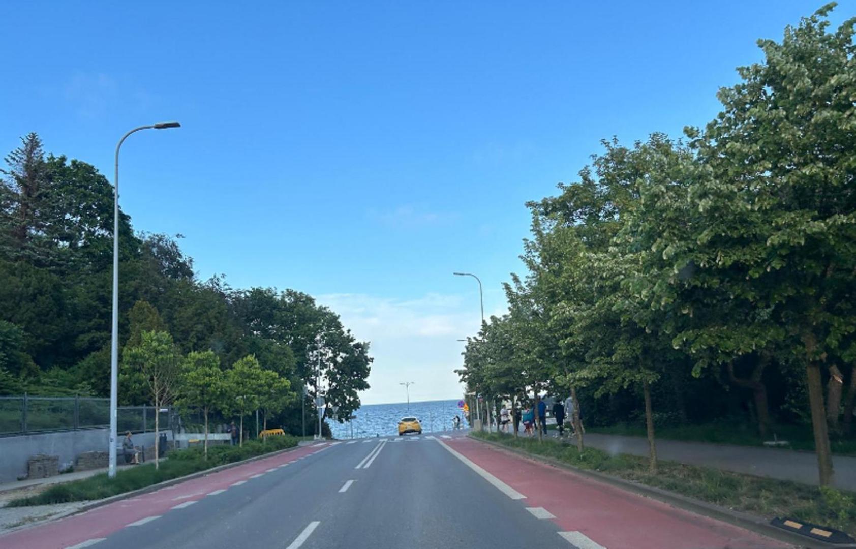 Meduza Prostywynajem Pola Gdynia
