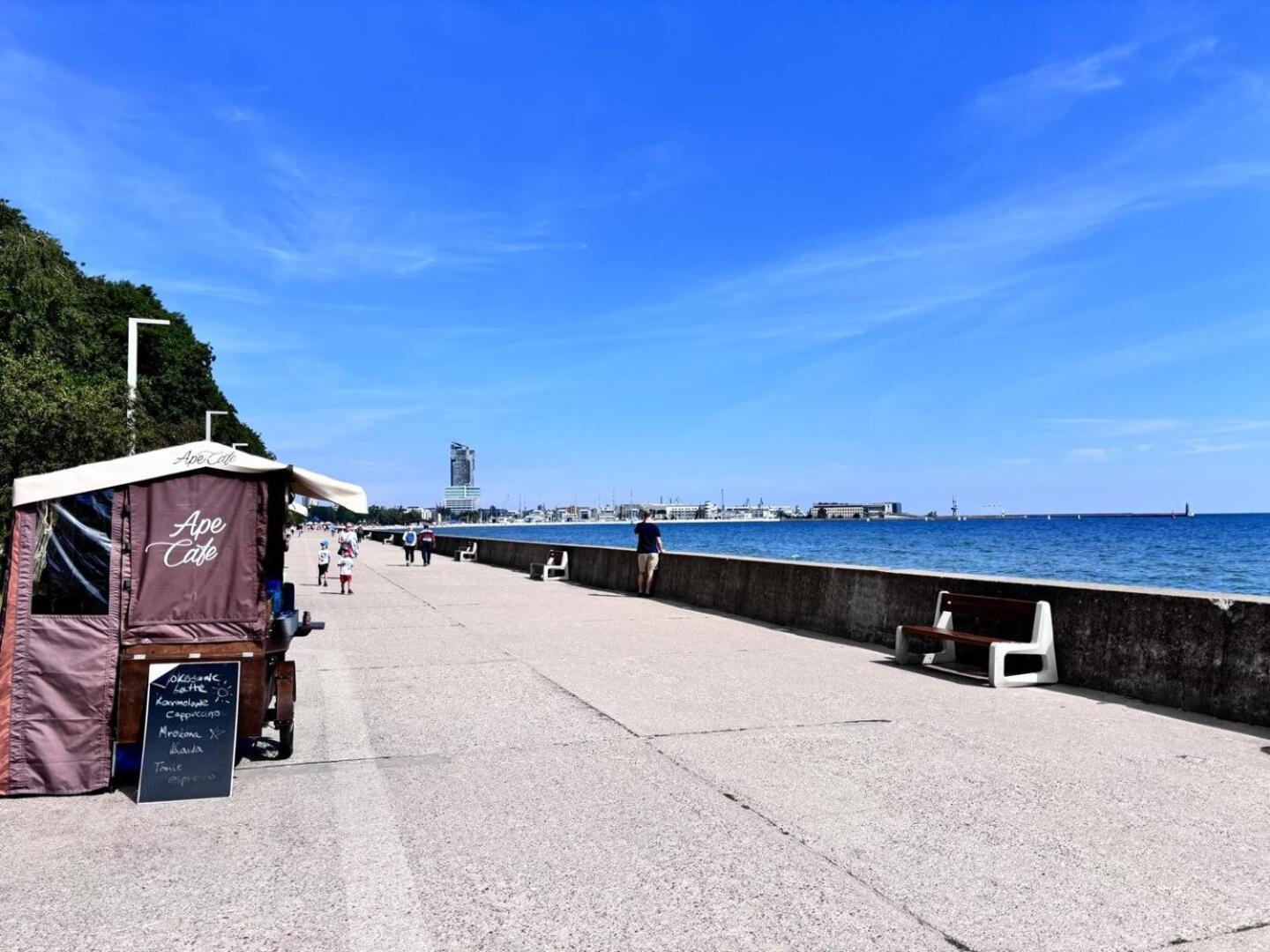 Meduza Prostywynajem Pola * Gdynia