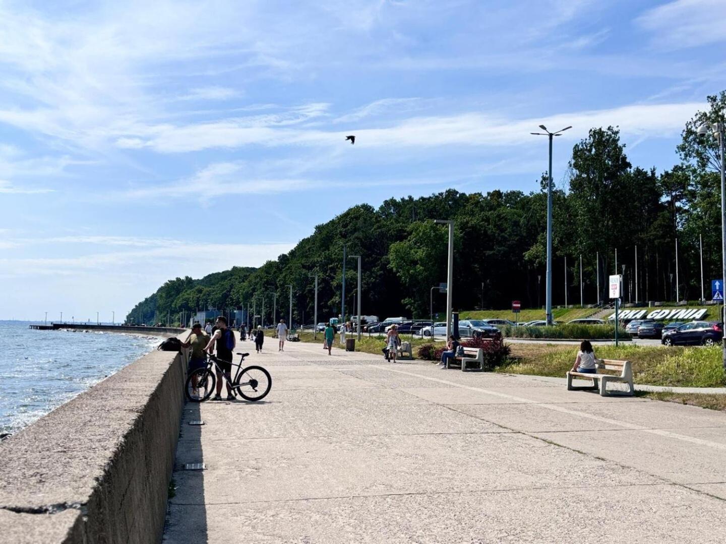 Meduza Prostywynajem Pola Gdynia