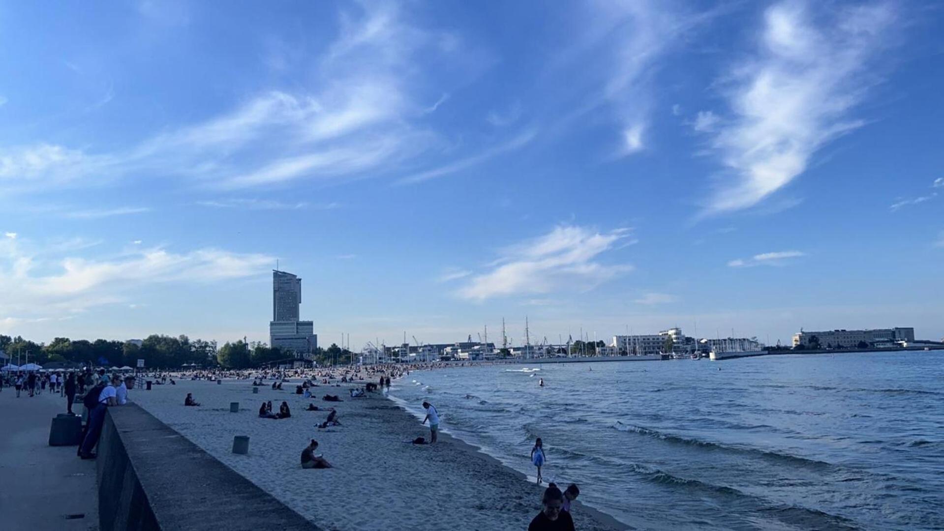 Meduza Prostywynajem Pola * Gdynia
